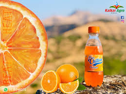 Chillax Orange 200ml X 30