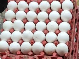 முட்டை - 1 அட்டை