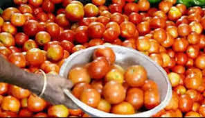 ம.தக்காளி 1/4 Kg