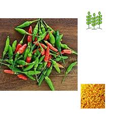 சீனி மிளகாய் 100 gram