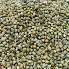 Bajra / கம்பு 1 Kg