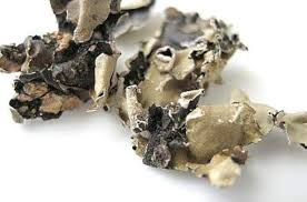 கல்பாசி 50 gram